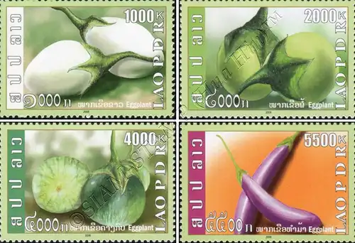 Eggplant (MNH)