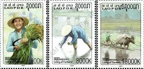 Farmer's life: Rice farmers (MNH)