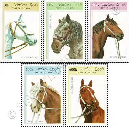 Draft Horses (MNH)