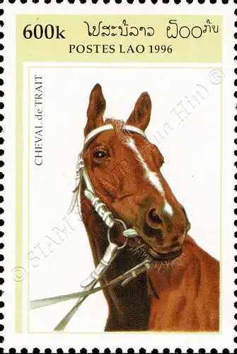 Draft Horses (MNH)