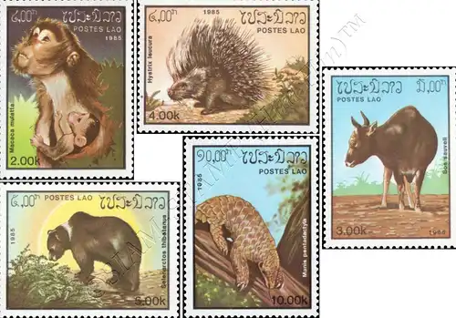 Animals (II) (MNH)