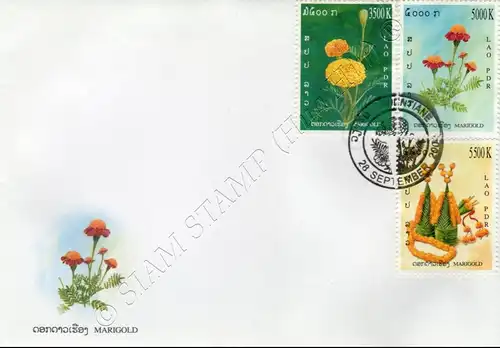 Asteraceae -FDC(I)-I-