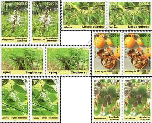 Medicinal Plants -PAIR- (MNH)