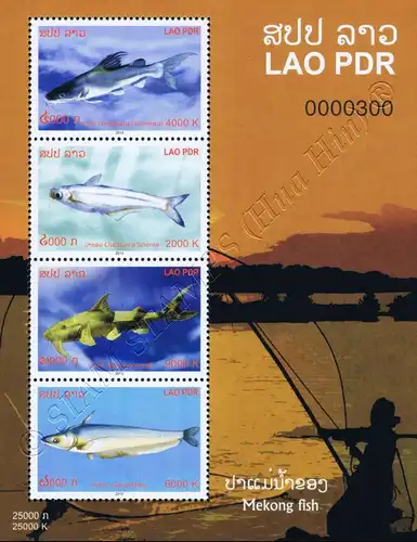 Catfish of the Mekong (241A) (MNH)