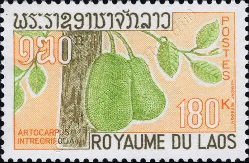 Local Fruits (MNH)