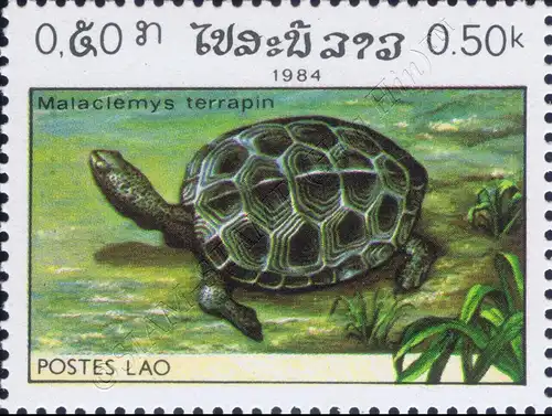 Reptiles (II) (MNH)