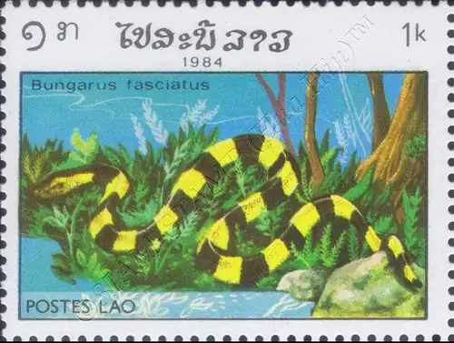 Reptiles (II) (MNH)