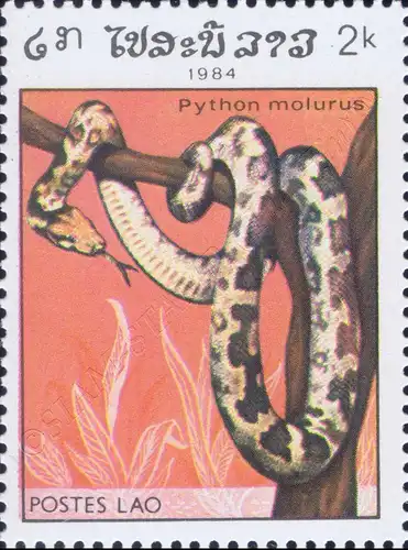 Reptiles (II) (MNH)