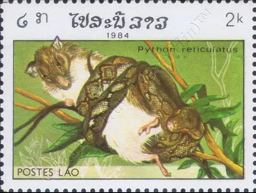 Reptiles (II) (MNH)