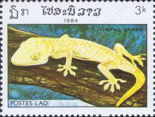 Reptiles (II) (MNH)