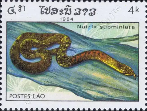 Reptiles (II) (MNH)