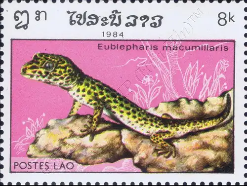 Reptiles (II) (MNH)