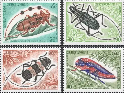 Insects (MNH)