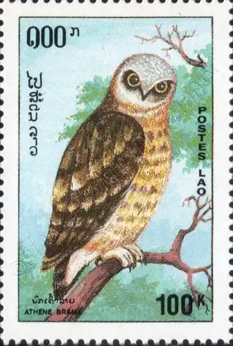 Birds of Prey (MNH)