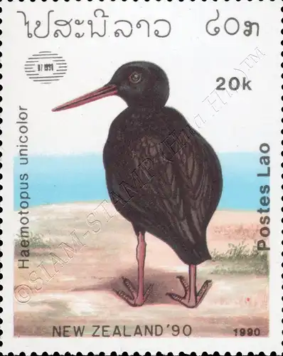 NEW ZEALAND 90, Auckland: Birds (MNH)