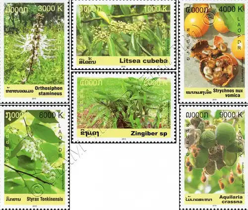 Medicinal Plants (MNH)