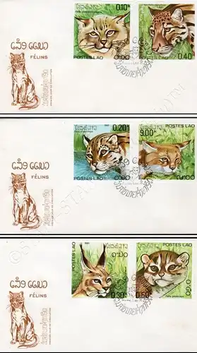 Predatory Cats -FDC(I)-I-