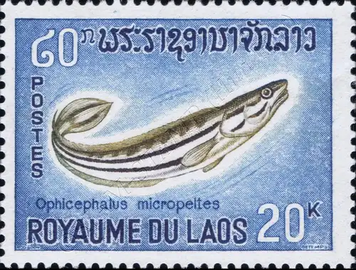 Fishes (I) -PERFORATED- (MNH)