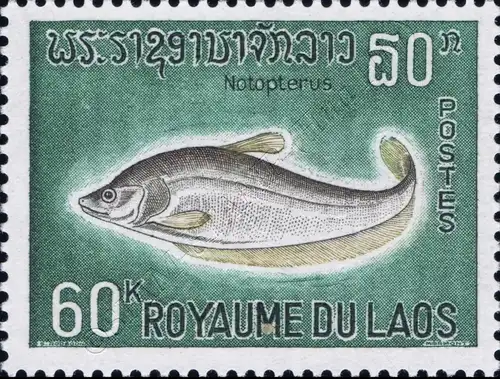 Fishes (I) -PERFORATED- (MNH)