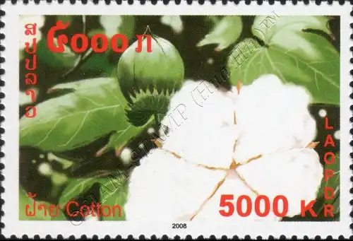 Cotton (MNH)