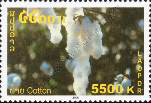 Cotton (MNH)