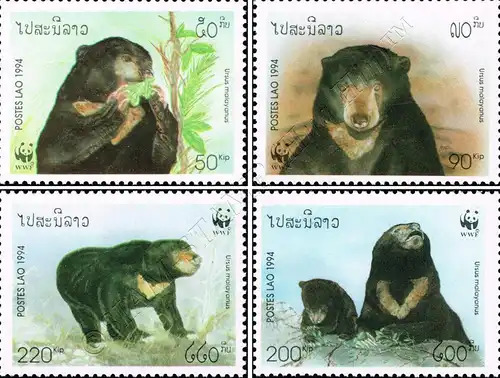 Worldwide Conservation: Sun Bear (MNH)