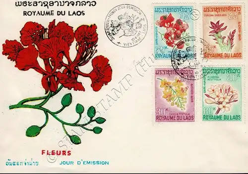 Native Flora -FDC(I)-I-