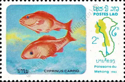 Fish from the Mekong (MNH)
