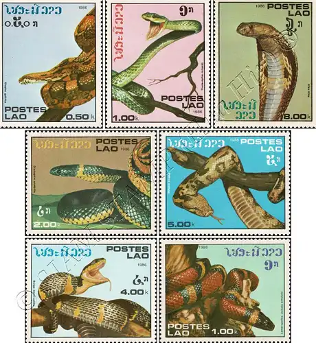 Snakes (MNH)