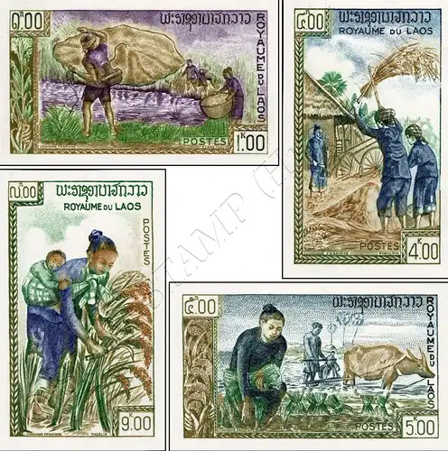 Freedom from Hunger -IMPERFORATE- (MNH)