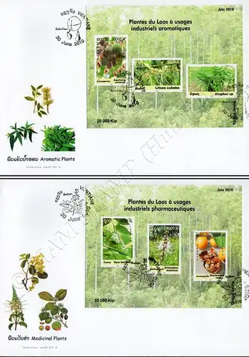 Medicinal Plants (220B-221B) FDC(I)-I-