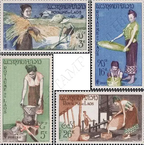 Definitive: Rice Cultivation (MNH)