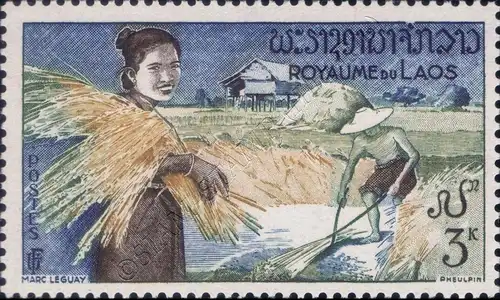 Definitive: Rice Cultivation (MNH)