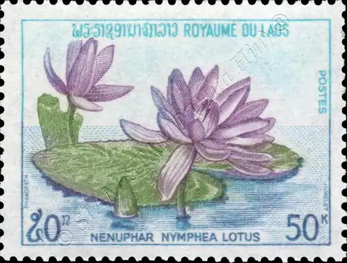 Wild growing flowers -PERFORATED- (MNH)