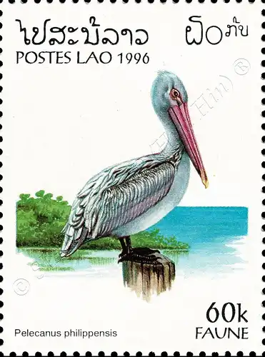 Fauna (II) (MNH)