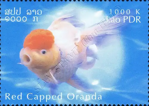 Goldfish Breeds -PERFORATE- (MNH)