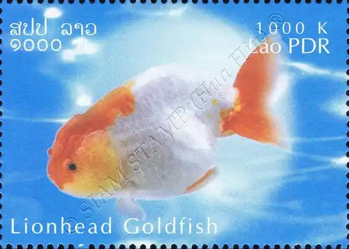 Goldfish Breeds -PERFORATE- (MNH)