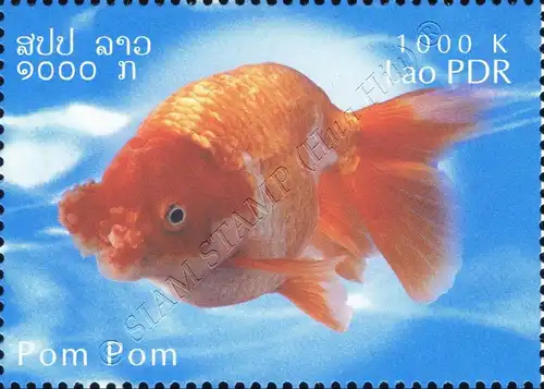 Goldfish Breeds -PERFORATE- (MNH)