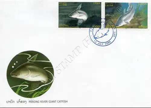 Mekong Giant Catfish -FDC(I)-I-