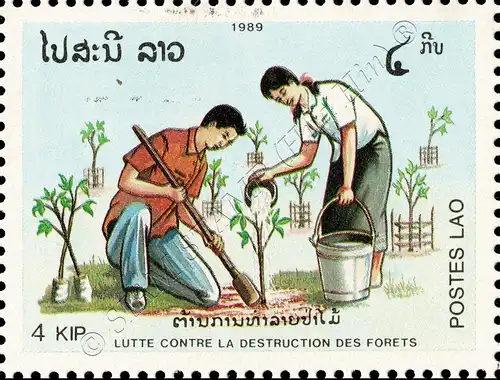 Protection of the Forest (MNH)