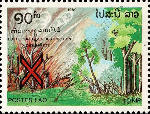 Protection of the Forest (MNH)