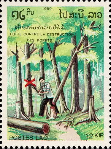 Protection of the Forest (MNH)