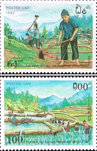 Rice Cultivation (MNH)