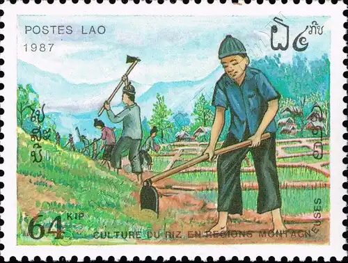 Rice Cultivation (MNH)