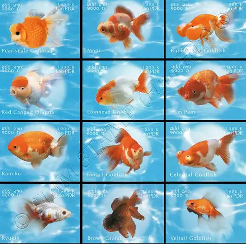 Goldfish Breeds -IMPERFORATE- (MNH)