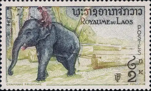 Definitive: Elephants (MNH)