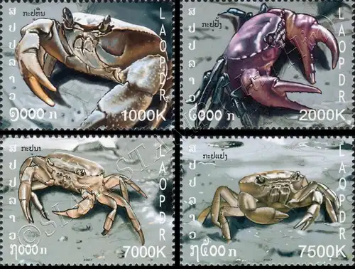 Crabs (MNH)