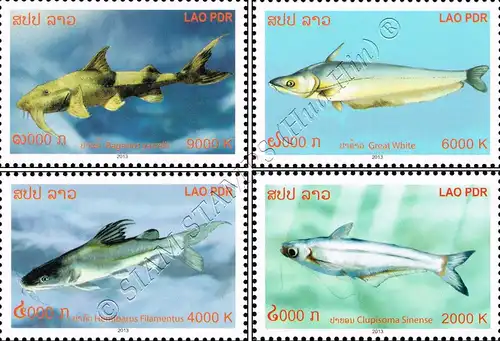 Catfish of the Mekong (MNH)