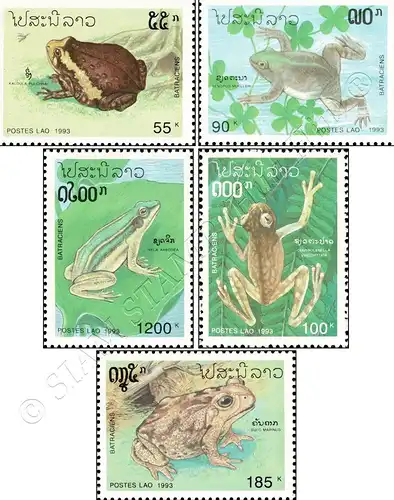 Frog Amphibian (MNH)