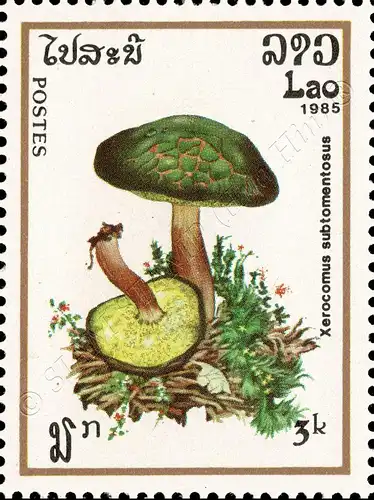 Mushrooms (I) (MNH)